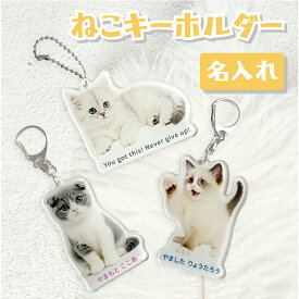 【名入れ】 仔猫 キーホルダー ねこ猫好き プレゼント 子供 日本製 入園祝い 入学 祝い プレゼント 保育園 幼稚園 卒園 記念品 名前 ギフト 出産祝い 名前入り 部活 習い事 通園バック レッスンバック ミッフィー グッズ オリジナル