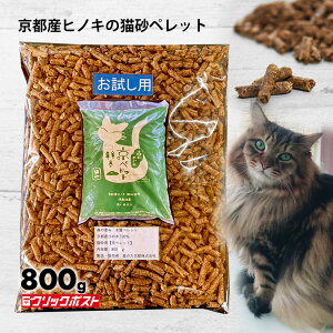 sYЂ̂100 y؎ybg L800g zԔ Y VRf Y SS L LgC VXegC Lpi z LRی h 悯 ق̂ȍ