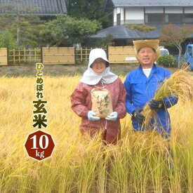 令和5年産 ひとめぼれ10kg 【玄米】 送料無料 岩手県 農家直送 生産直売 ギフト 期間限定　新米