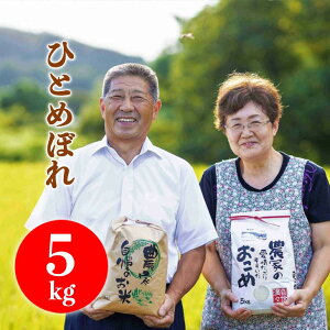 ߘa7NY V ЂƂ߂ڂ 5kg yāz  茧 _ƒ Y Mtg Ԍ  