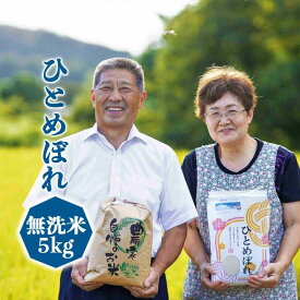 令和7年産新米【無洗米】 ひとめぼれ5kg 　送料無料 岩手県　農家直送 生産直売 ギフト 期間限定米