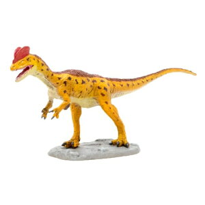 y}\N[|ΏہztBMA Favorite tFobg _Ci\[V[Y@fBtHTEX \tgf FDW-025itj