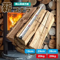 楽天市場】コナラ（スポーツ・アウトドア）の通販
