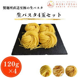 【4食入】生パスタ 選べる3種 リングイネ タリオリーニ タリアテッレ 120g×4食 麺のみ 製麺所直送 もちもち 一流ホテル採用 お試し イタリアン プロの味 送料無料