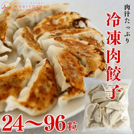 餃子 餡20g 24個 48個 72個 96個 大容量 肉餃子 大阪 なにわ 本当にうまい 冷凍 ジューシー 冷凍保存 レシピ 生餃子 冷凍保存 冷凍餃子 肉汁 にら にんにく 安い 美味しい焼き方 うますぎ もちもち パリパリ おすすめ 夜ご飯 晩御飯 ビールに合う 絶品 餃子 仕送り 取り寄せ