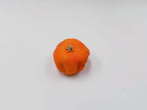 【 マグネット 腐りかけミカン 】 日本製 小物 食品サンプル おもしろ プレゼント かわいい おしゃれ ハンドメイド ポーチ バッグ 模型 フェイクフード フード 食べ物 パーツ 撮影 ぬい撮 ユ