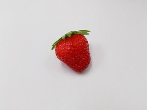 【 マグネットイチゴ・葉付 】 日本製 小物 食品サンプル おもしろ プレゼント かわいい おしゃれ ハンドメイド ポーチ バッグ 模型 フェイクフード フード 食べ物 パーツ 撮影 ぬい撮 ユニ