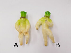y }Olbg卪 z {  HiTv  v[g 킢  nhCh |[` obO ͌^ tFCNt[h t[h Hו p[c Be ʂB j[N J
