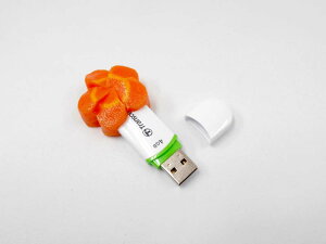 y USB  ԐlQB z {  HiTv  v[g 킢  nhCh ͌^ tFCNt[h t[h Hו p[c Be  j[N Japan g KWFb