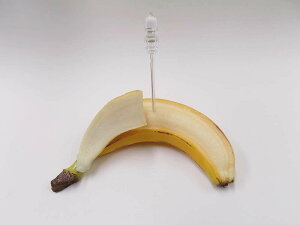 【 カード立て バナナ 1本 ・皮むき大 】 日本製 メモスタンド 小物 食品サンプル おもしろ プレゼント かわいい おしゃれ ハンドメイド 模型 フェイクフード フード 食べ物 パーツ 撮影 大阪