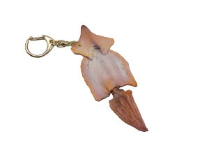 y L[z_[ X z {  HiTv  v[g 킢  nhCh |[` obO ʂB ͌^ tFCNt[h t[h Hו p[c Be  