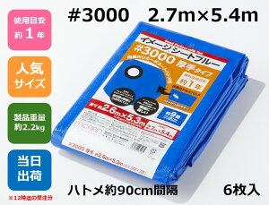 u[V[g #3000 2.7m×5.4m ngty6zAEghA W[ Cxg ЊQ h ~ h y z   ЊQ΍ ϋv {  3000 Ki TCY 2.7×5.4