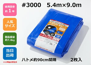 u[V[g #3000 5.4m×9m ngtR[i[pbhty2zAEghA W[ Cxg ЊQ h ~ h y z   ЊQ΍ ϋv {  3000 Ki TCY 5.4×9