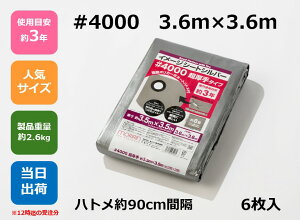 UVVo[V[g #4000 3.6m×3.6m ngty6zAEghA W[ Cxg ЊQ h ~ h y z   ЊQ΍ ϋv { UV Vo[ 4000  Ki TCY 3.6×3.6