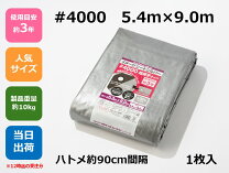 楽天市場】モリリン イメージシート #4000の通販
