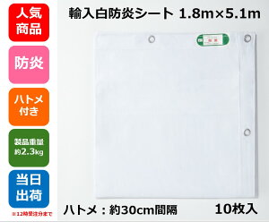 hV[g (Ai)1.8m×5.1m ngty10zh H { ЊQ h h z  y  ЊQ΍ Jo[ Cxg tAV[g ς݃Jo[  eprɁI