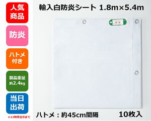 hV[g (Ai)1.8m×5.4m ngty10zh H { ЊQ h h z  y  ЊQ΍ Jo[ Cxg tAV[g ς݃Jo[  eprɁI