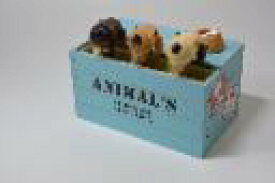 からくりオルゴール ”木箱アニマルズ：犬”（日本製：東洋音響）TM231-Aアクア