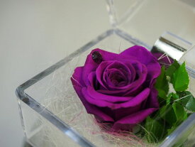 バラのブリザーブドフラワーオルゴール「2月」誕生月カラー「バイオレット」