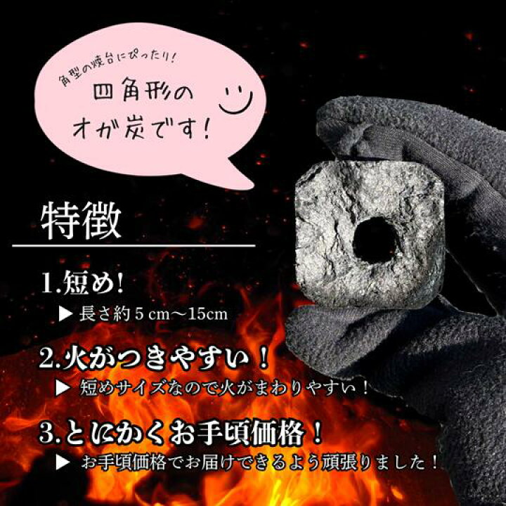 楽天市場】＼*新商品*／東北関東送料無料！オガ炭20kg(1箱10kg×2 
