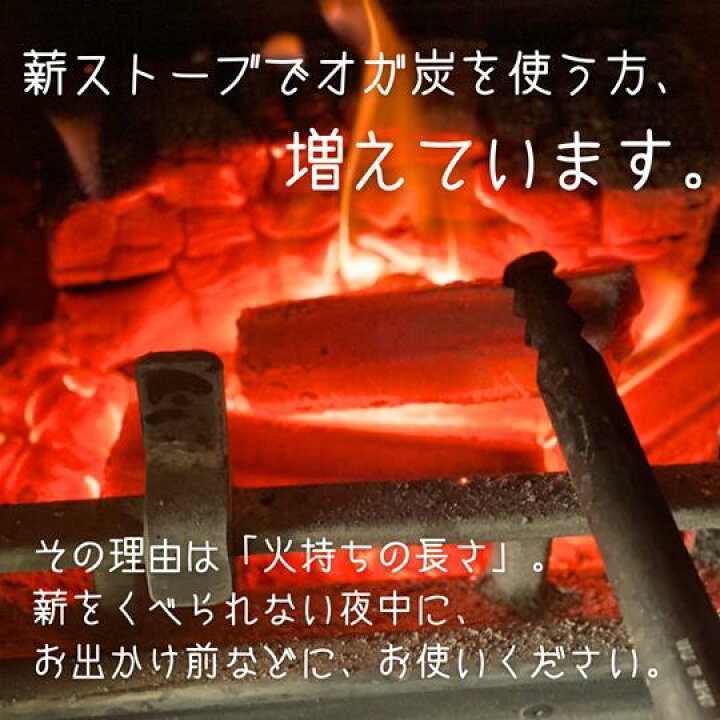 楽天市場】＼お試し価格／ 東北関東エリア送料無料* 金獅子 オガ備長炭 