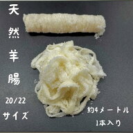 天然羊腸 20～22ミリ 約4メートル 1本入り オーストラリア産 自家製ソーセージ BBQ ウインナー パーティ…