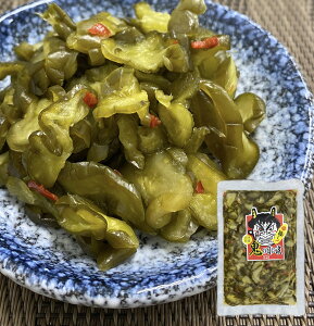 Vc`ԓhq̃KcƂh`uS̖ڂɗ܁iЕjv