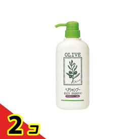 ナチュラルマインド シャンプー 500mL 2個セット