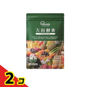 ���c�y�f STANDARD(�X�^���_�[�h) �y�[�X�g(����)�^�C�v 2.5g× 31�� 2�Z�b�g