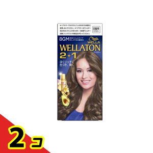 �E�G���g�[��2+1(�c�[�v���X����) �t��^�C�v 8GM ��薾�邢�}�b�g�u���E�� [A�t43mL+B�t86mL+�G�b�Z���X5.5mL] 1�� 2�Z�b�g