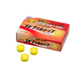 タニサケ ゴキブリキャップP1 誘引殺虫剤 10g× 30個入