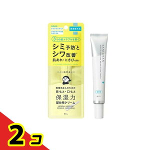 KANSOSAN �������� ��p�����N���P�A�N���[�� �����p 20g 2�Z�b�g