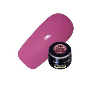 PREGEL(�v���W�F��) �J���[EX PG-CE289 ���[�Y���A�[�` 4g