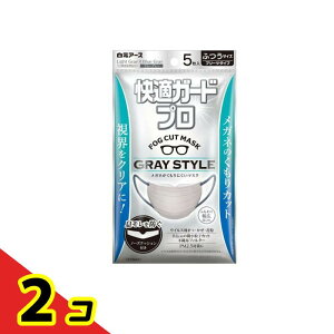 ���K�K�[�h�v�� �}�X�N �v���[�c�^�C�v �ӂ��T�C�Y �O���[�X�^�C�� 5���� 2�Z�b�g