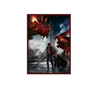 FINAL FANTASY �t�@�C�i���t�@���^�W�[ �J�[�h�X���[�u FFCSS-10 �N���C�� 100����