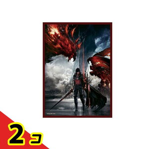 FINAL FANTASY �t�@�C�i���t�@���^�W�[ �J�[�h�X���[�u FFCSS-10 �N���C�� 100���� 2�Z�b�g