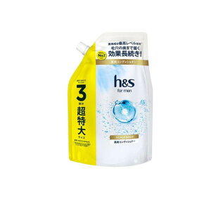 h&s for men �X�J���v�S�[���h ��p�R���f�B�V���i�[ �l�ߑւ��p ������T�C�Y 900g