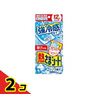 熱さまシート 強冷感タイプ 大人用 12枚入 (2枚×6包) 2個セット
