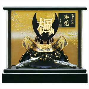  ܌l`  O 8 AN~jP[X RpNg  IׂTt y2025Nߋzyz