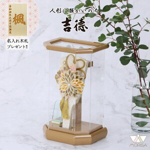 ݌ɂ ʌ g Hq  ܂ݍ׍HHq ANP[X 6x[W 245602 ܂݂񂴂 킢 ؎Dv[gΏۏi | ̎q v[g o