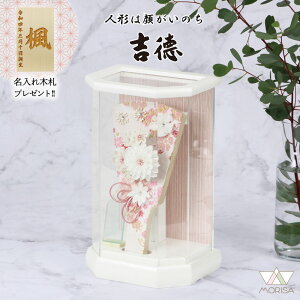 ݌ɂ ʌ g Hq  ܂ݍ׍HHq ANP[X 6 245607 ܂݂񂴂 킢 ؎Dv[gΏۏi | ̎q v[g oY LO 