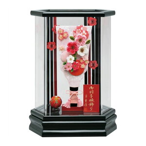 Hq  P[X ANP[Xzij7 񂴂 sN f RpNgTCY  킢 ؎Dv[gΏۏi | ̎q v[g oY LO 