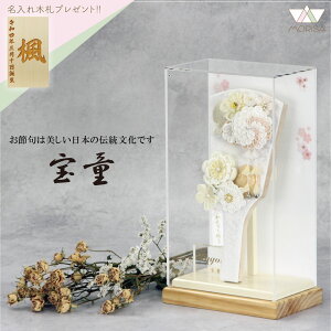 Hq  P[X ܂JUV 9 ANP[XCiItzCgj9 RpNgTCY  킢 v`Hq ؎Dv[gΏۏi | oY LO