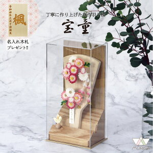 Hq  ANP[X ₩i`7 ݂JUVHq RpNg  킢 ؎Dv[gΏۏi | ̎q v[g oY LO  j Vzj L