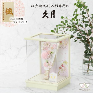 ݌ɂ v Hq zP[X7 sN ANP[X 16560 킢 ؎DTt ̎q v[g oY LO  j Vzj LOi CeA q Hq 