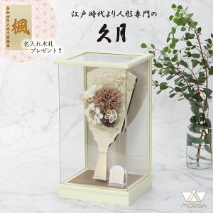 ݌ɂ v Hq ANP[X~R 10 mԃ[X J 16600 킢 ؎DTt ̎q v[g oY LO  j Vzj LOi CeA q | Hq