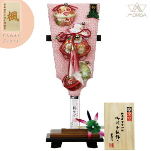 y݌1_zHq  ؖړd󂯑t  GHq  ̎q 10 ܂ݍ׍H RpNg Lv ؎Dv[gΏۏi | ̎q v[g oY LO  