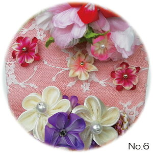 ݌ɂ ʌ Lv ܂ݍ׍HHq8 sNn /ԁE/ Ht  킢 ؎Dv[gΏۏi | ̎q v[g oY LO  j Vzj 