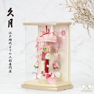 ݌ɂ v 邵 邵  l` JANP[X ӓ 29cm ЂȐl` 킢  y[g[ t@V[