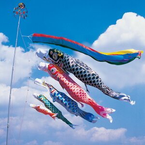 H 5m 8_ 5C ܐFь ̂ڂ ^Zbg ^ix̂ڂ {